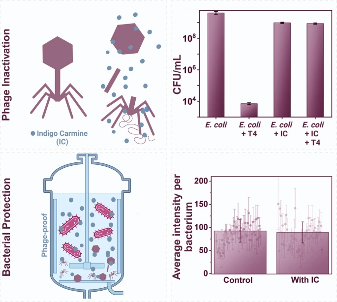 New article in Applied Microbiology and Biotechnology