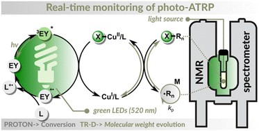 New article in Polymer Chemistry